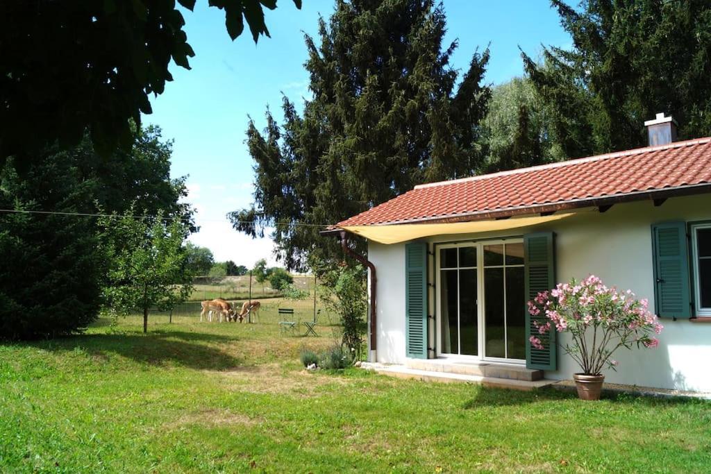 Idylisches Cottage Mit Reh Worthsee Exterior foto